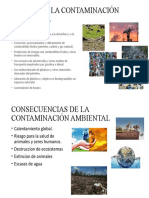 Contaminacion Ambiental