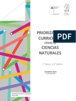 Ciencias Priorización Curricular