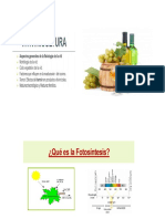 1. ENOLOGI (3).pptx