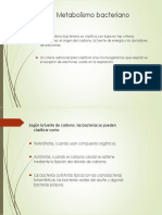 bacterias 6 .pdf