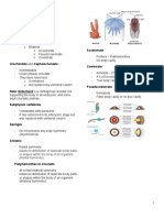 Animal Division and Tissue Types