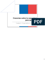CreenciasSobreElAprendizaje Presentacion PDF