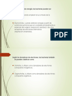 Bacterias 7 PDF