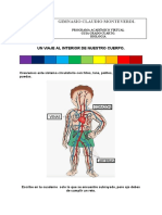 Sistema  circulatorio.docx