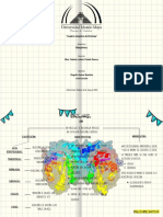 Cuadro Sinoptico de Enzimas PDF