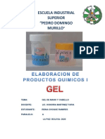 Informe Gel de Manos y Cabello PDF