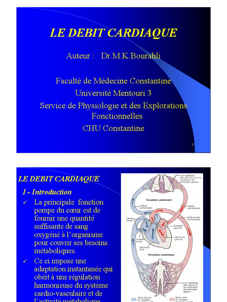 Débit Cardiaque : Définition et Régulation | PDF | Cœur | Sang