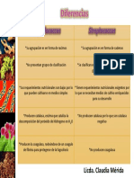 Cuadro de Diferencias Entre Staphylococcus y Streptocuccus PDF