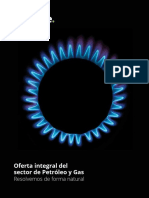 DELOITTE Servicios-Oil-Gas-Mx