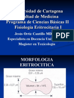 Fisiologia Del Eritrocito 1
