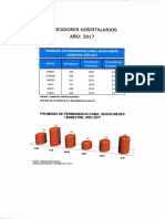 Indicadores PDF