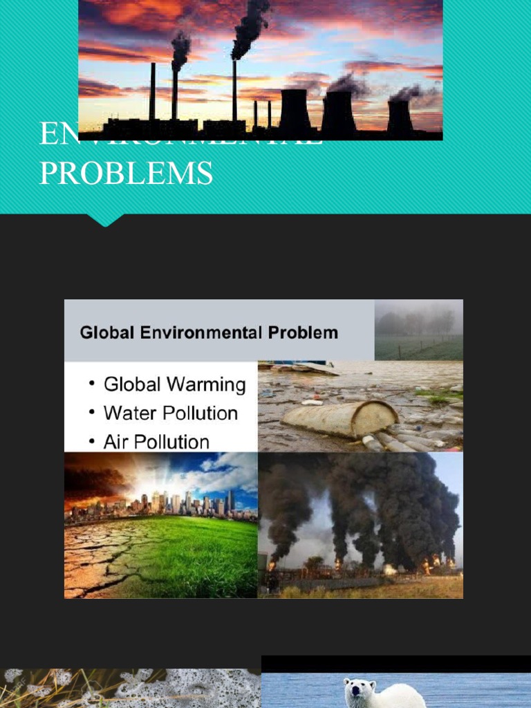 Environmental Problems | PDF