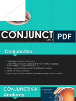 Anatomy, Signs and Types of Conjunctivitis