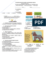 Pueba Diagnostica de Lengua Castellana, 9,10 Y11 PDF