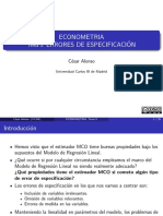 Tema 5 Errores de Especificacion PDF