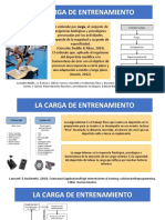 la carga de entrenamiento 2020.pdf