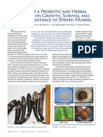 Effect of A Probiotic and Herbal Additives On Growth, Survival and Disease Resistance of Striped Murrel