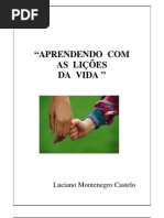 Aprendendo com as lições da Vida - Prof. Luciano Castello - FGV