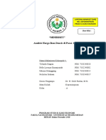 Miniriset Kepemimpinan Ikan Dencis