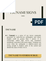 Tsunami Signs: Subtitle