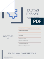 Pautas Primera Entrega .pptx