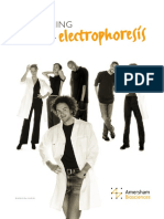 Electrophoresis Product Guide