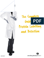 Guide Protein Labelling Detection