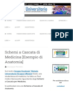 Schemi A Cascata Di Medicina (Esempio Di Anatomia) - Metodo Universitario