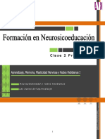 Aprendizaje, Memoria, Plasticidad Nerviosa y Redes Hebbianas I PDF