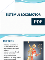 Aparatul Locomotor Uman Prezentare