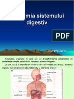lectie_20_anatomia_sistemului_digestiv..ppt