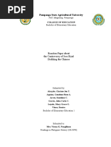 Rizal Disliked Chinese Reaction Paper