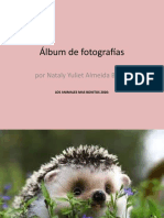 Álbum de Fotografías