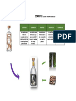 SCAMPER Vodka PAMPA HERMOSA Docx PDF