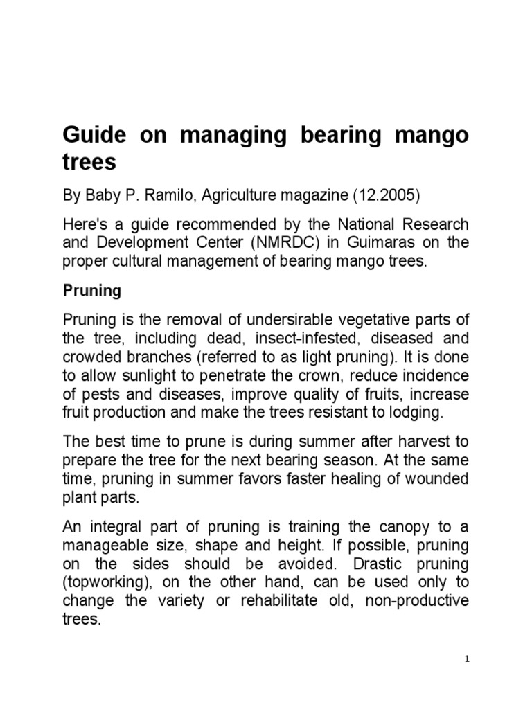 Guide On Managing Bearing Mango Trees: Pruning | PDF | Pruning | Pest ...