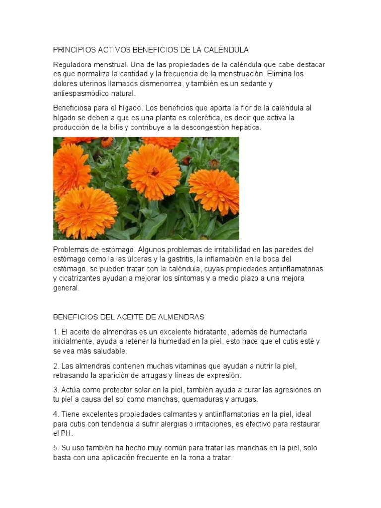 Benefcios Calendula Plantas Medicinales | PDF | Piel | Vitamina e