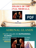 Physiology of The Adrenal Medulla: by Nazia Uzma