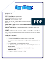 proiect_clr.pdf