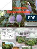 CharlaMango.pdf