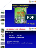hongosentomopatgenos-111027130703-phpapp01
