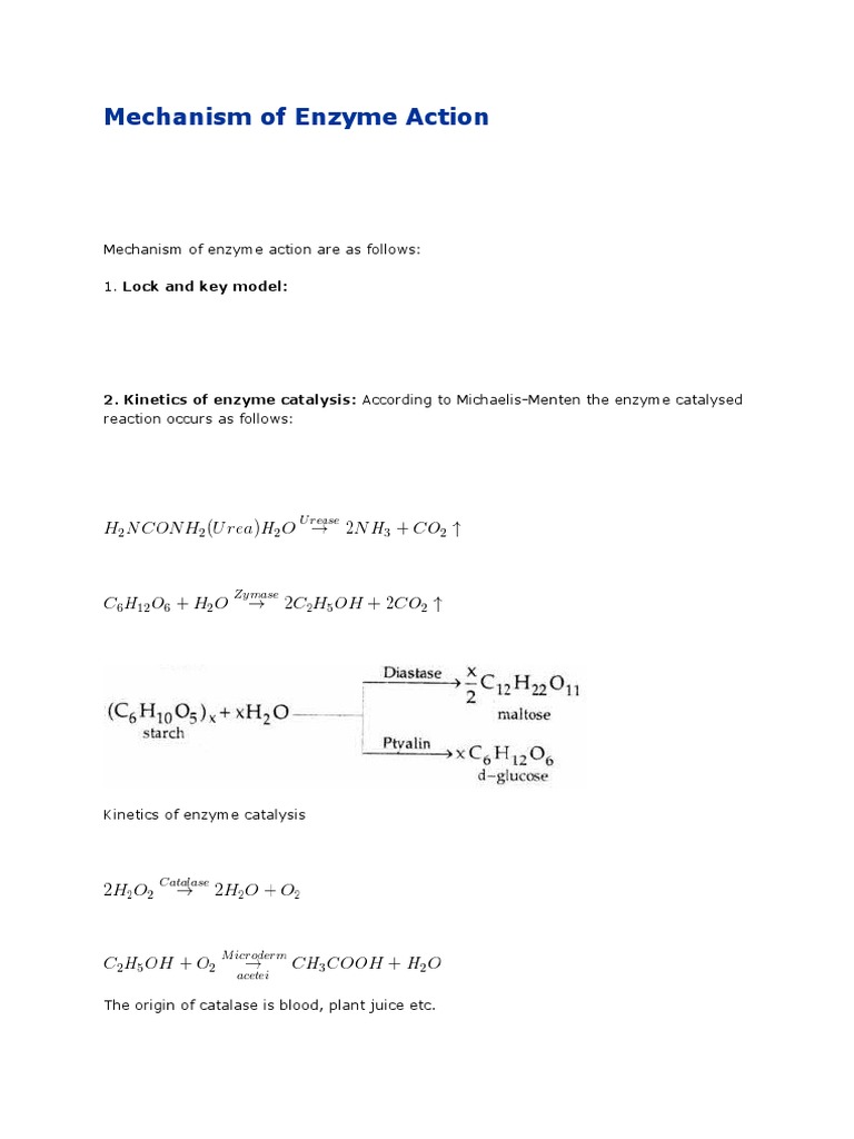 Lock and Key Model of Enzyme Action | PDF | Cooking, Food & Wine
