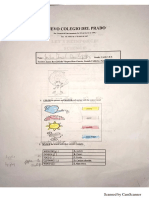 Guía de ciencias.pdf