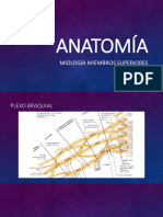 Miología Miembro Superior