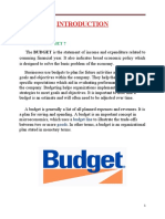 What Is BUDGET ?
