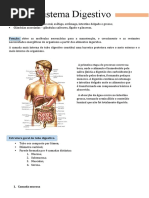 Sistema Digestivo