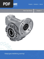 Worm Gear Boxes PDF