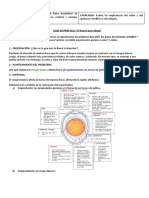 Práctica Huevo Que Rebota - Identificación de Los Pasos Del Método Científico