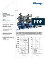 Schlumberger CPS 636 PDF