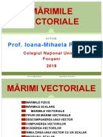 01.marimi_vectorialecod.pptx