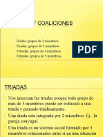 1.6.6 Triadas y Coaliciones